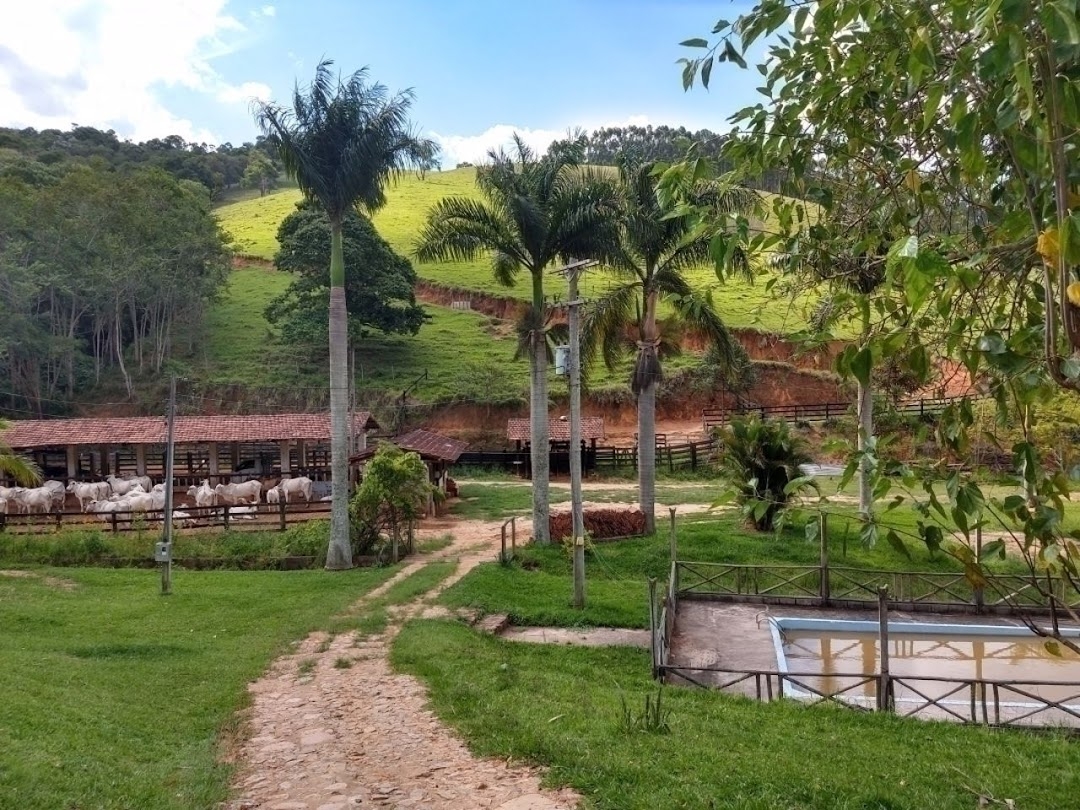 Fazenda, 600 m² - Foto 1