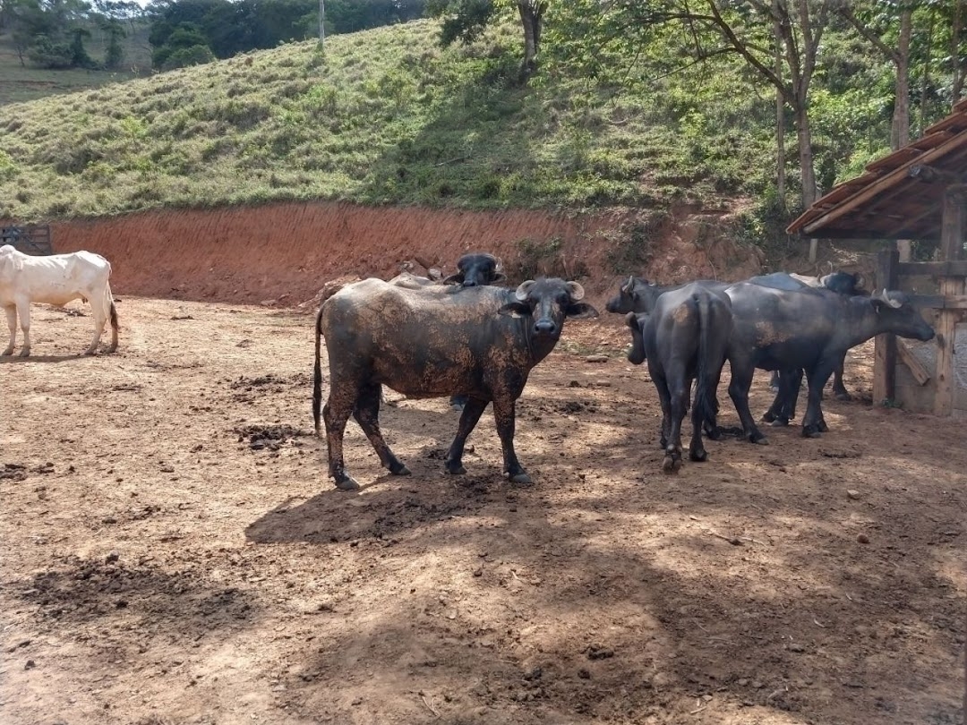 Fazenda em Paraibuna/São Paulo — Ref AARK1A — Imagem 26
