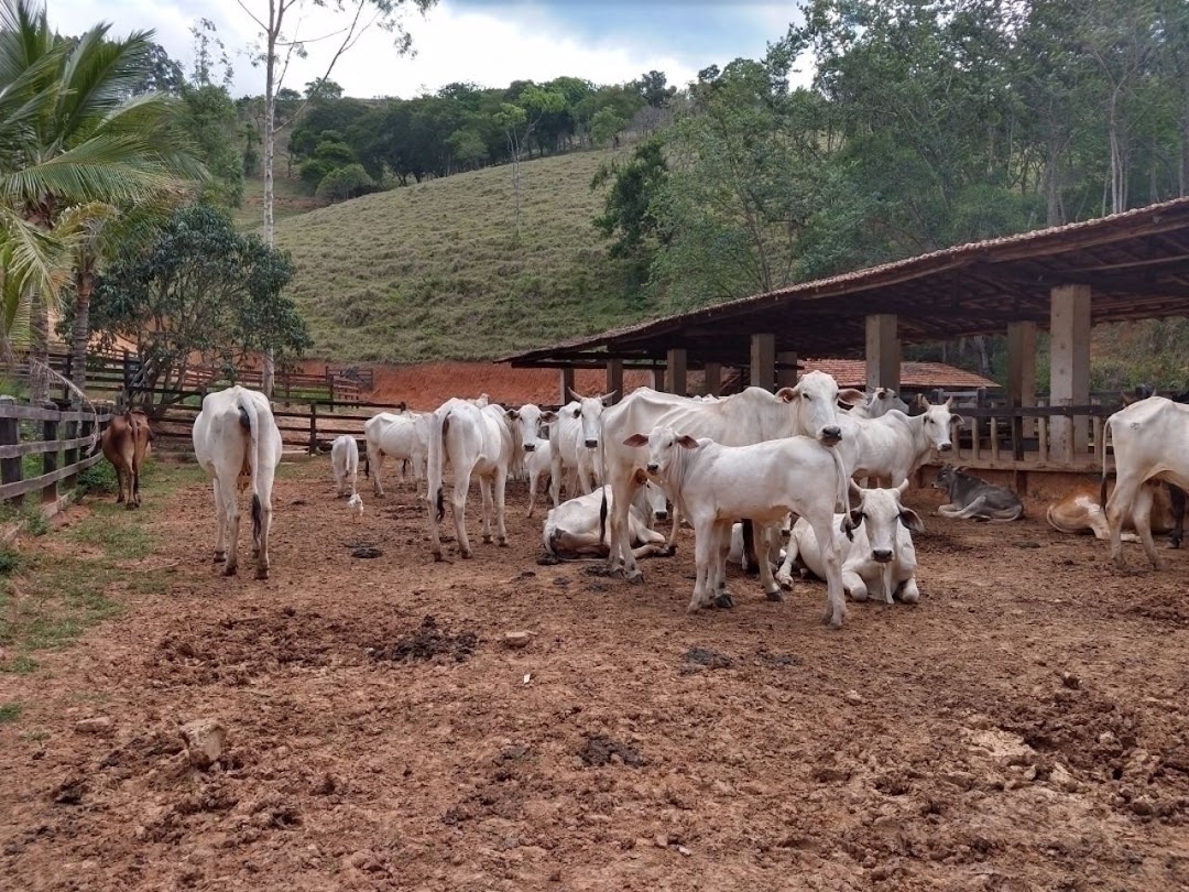 Fazenda em Paraibuna/São Paulo — Ref AARK1A — Imagem 23
