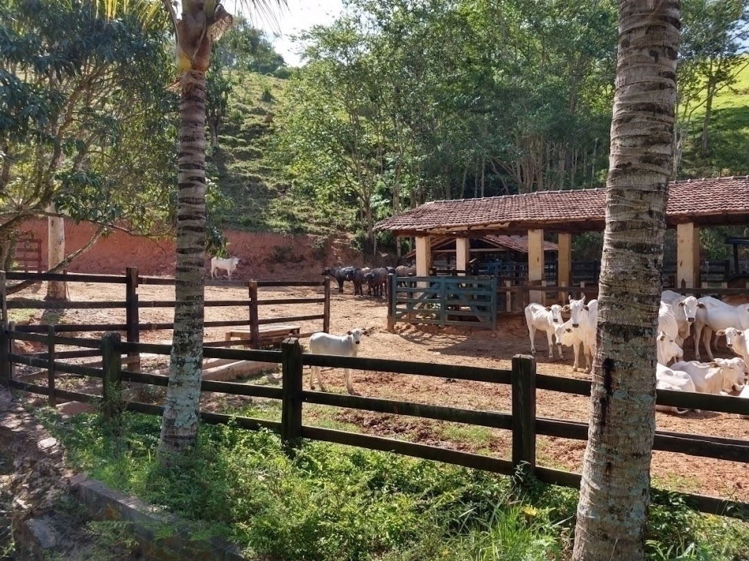 Fazenda em Paraibuna/São Paulo — Ref AARK1A — Imagem 43