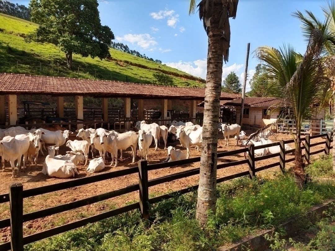 Fazenda em Paraibuna/São Paulo — Ref AARK1A — Imagem 42
