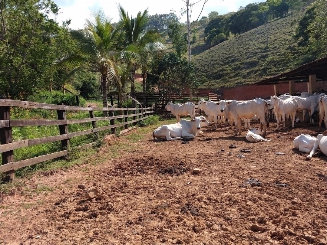 Fazenda em Paraibuna/São Paulo — Ref AARK1A — Imagem 47