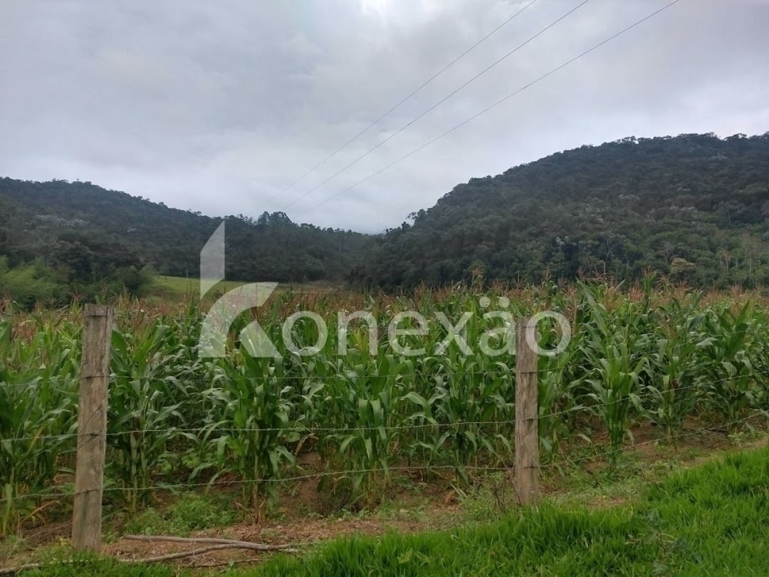 Fazenda-Sítio-Chácara, 100 m² - Foto 1