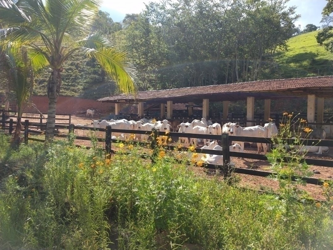 Fazenda em Paraibuna/São Paulo — Ref AARK1A — Imagem 44