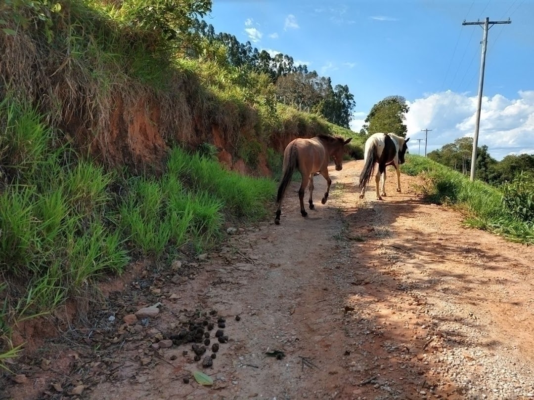 Fazenda em Paraibuna/São Paulo — Ref AARK1A — Imagem 54