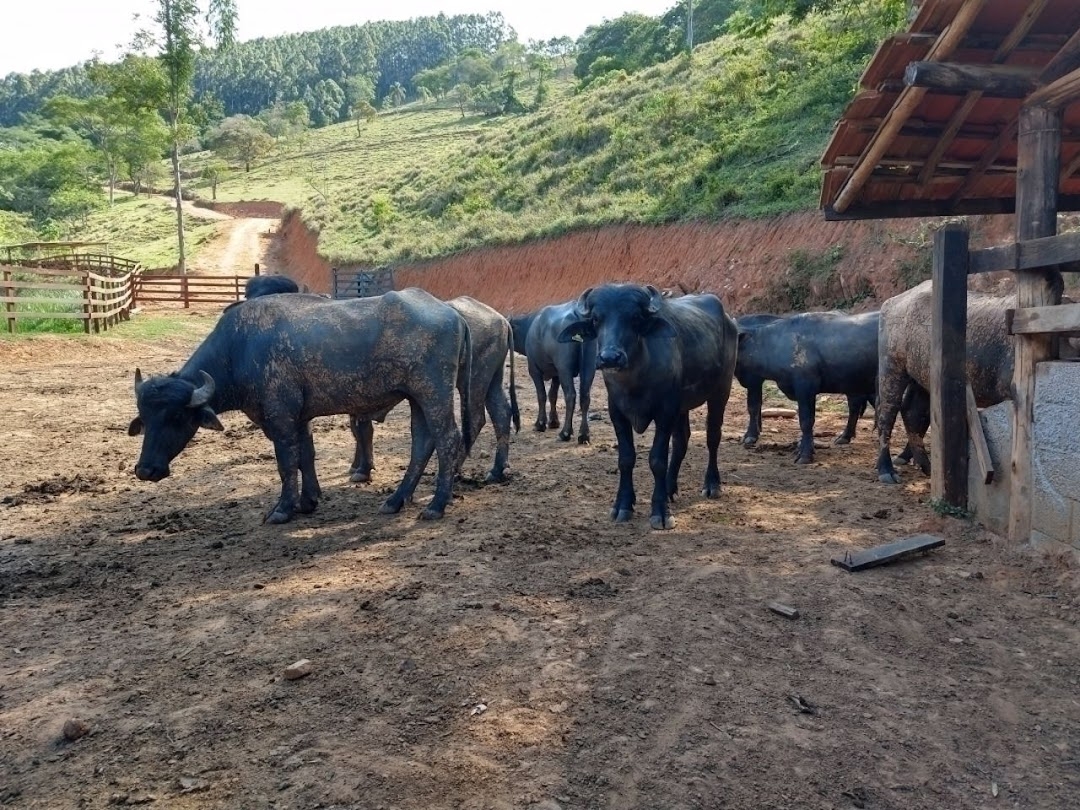 Fazenda em Paraibuna/São Paulo — Ref AARK1A — Imagem 53