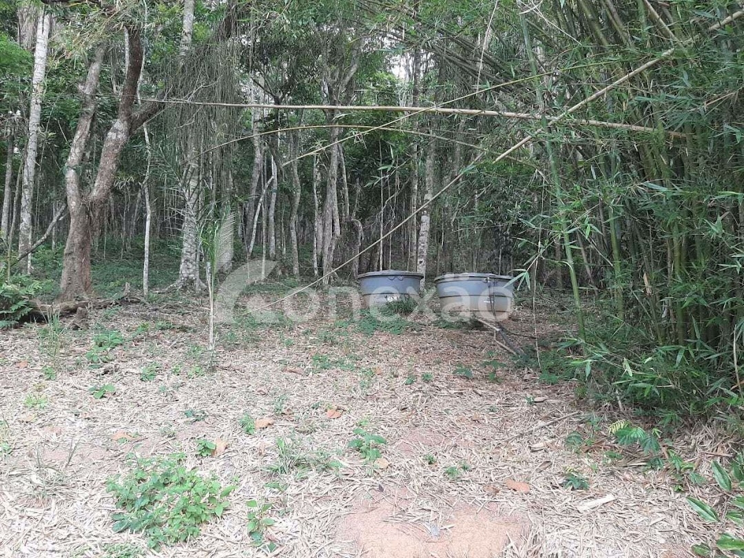 Chácara em Paraibuna/São Paulo — Ref 14ZAV3 — Imagem 20