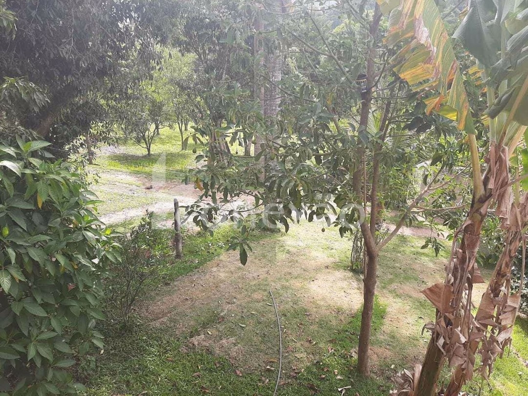 Chácara em Paraibuna/São Paulo — Ref 14ZAV3 — Imagem 19