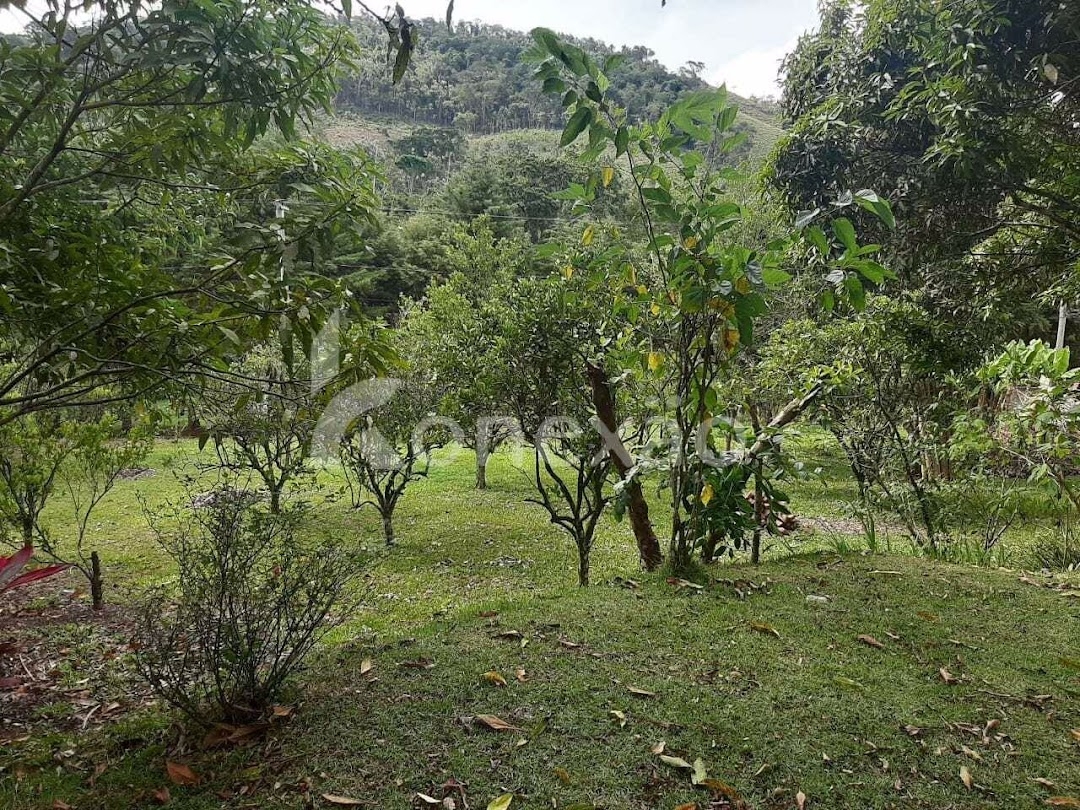 Chácara em Paraibuna/São Paulo — Ref 14ZAV3 — Imagem 21