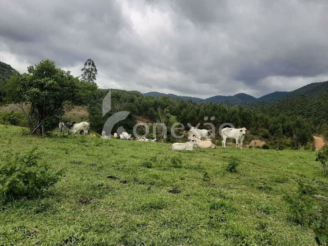 Fazenda em Paraibuna/São Paulo — Ref GBFVAA — Imagem 6