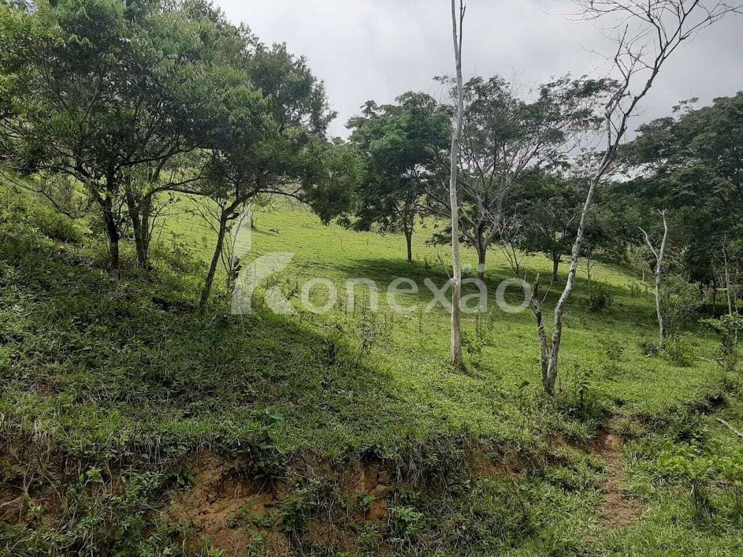 Fazenda em Paraibuna/São Paulo — Ref GBFVAA — Imagem 22