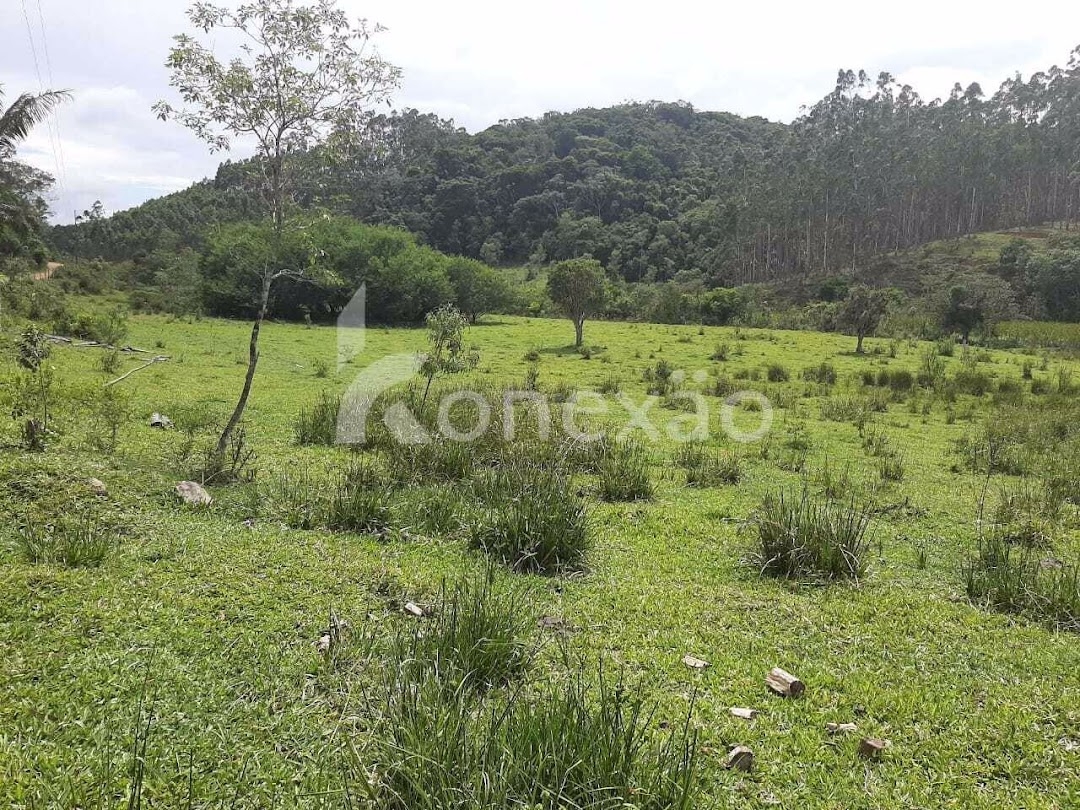 Fazenda em Paraibuna/São Paulo — Ref GBFVAA — Imagem 23