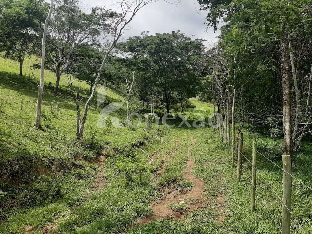 Fazenda em Paraibuna/São Paulo — Ref GBFVAA — Imagem 29