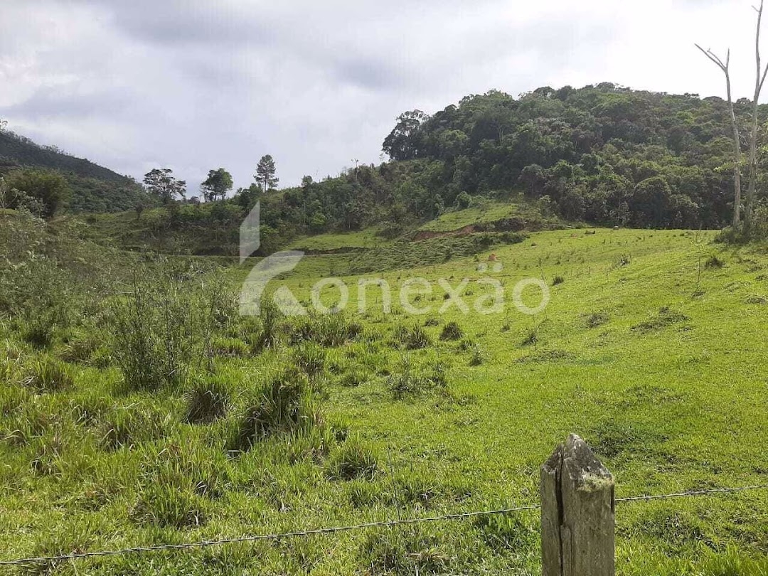 Fazenda em Paraibuna/São Paulo — Ref GBFVAA — Imagem 24