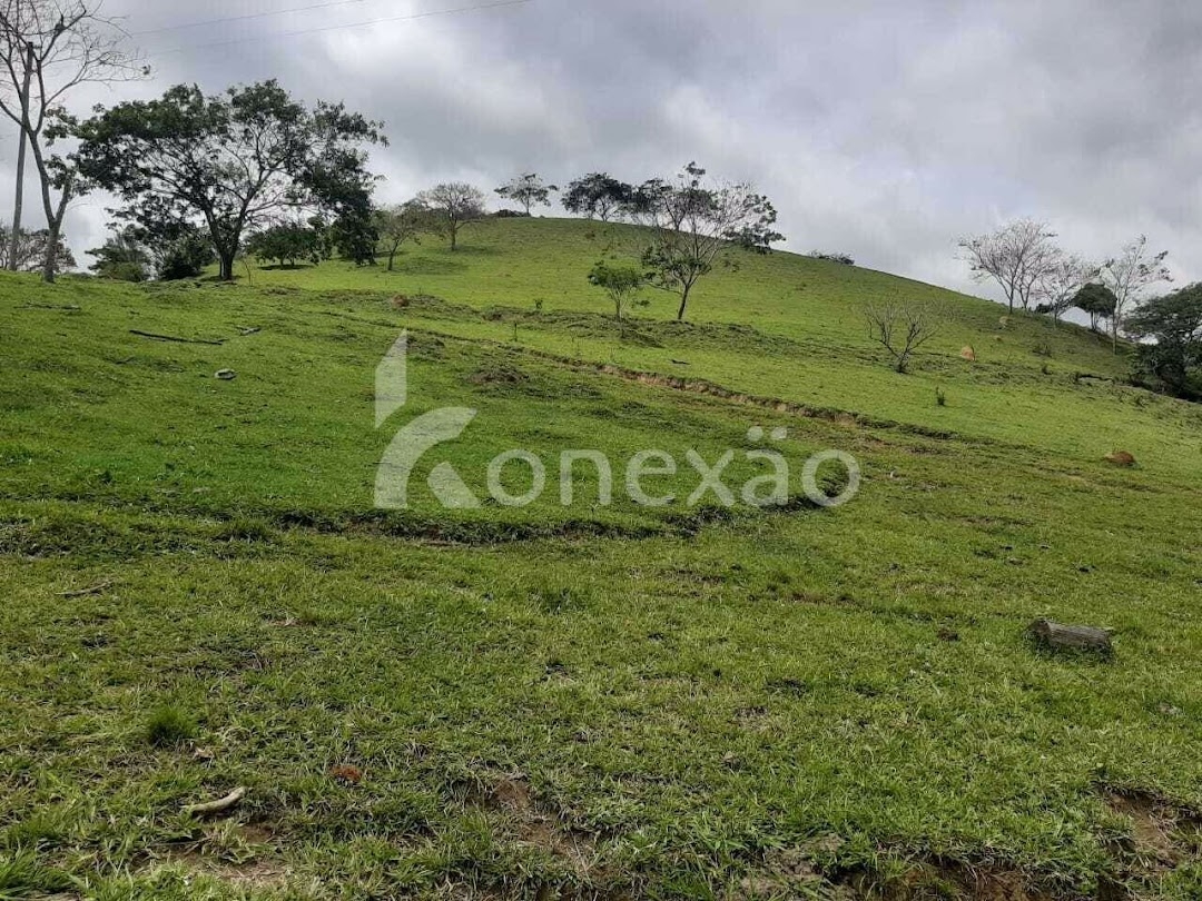 Fazenda em Paraibuna/São Paulo — Ref GBFVAA — Imagem 18