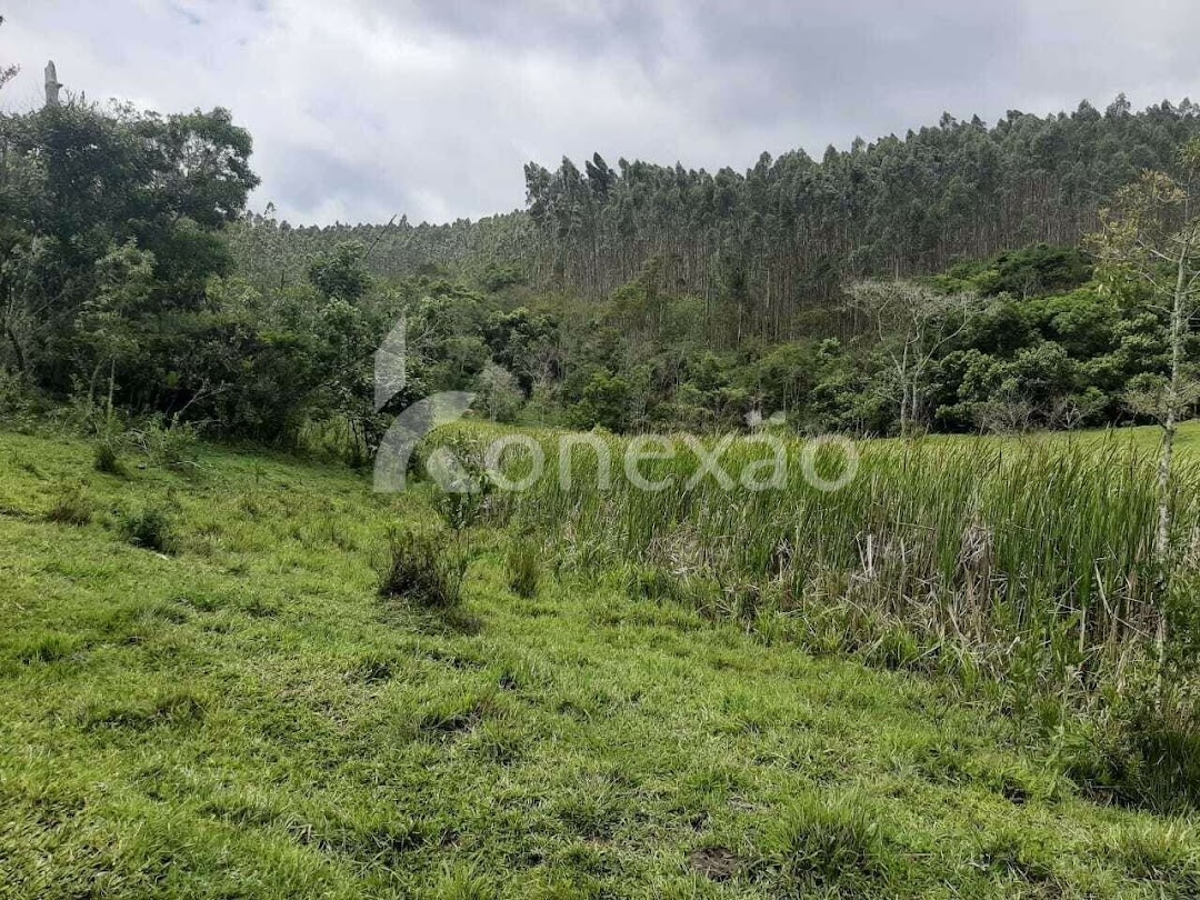 Fazenda em Paraibuna/São Paulo — Ref GBFVAA — Imagem 25