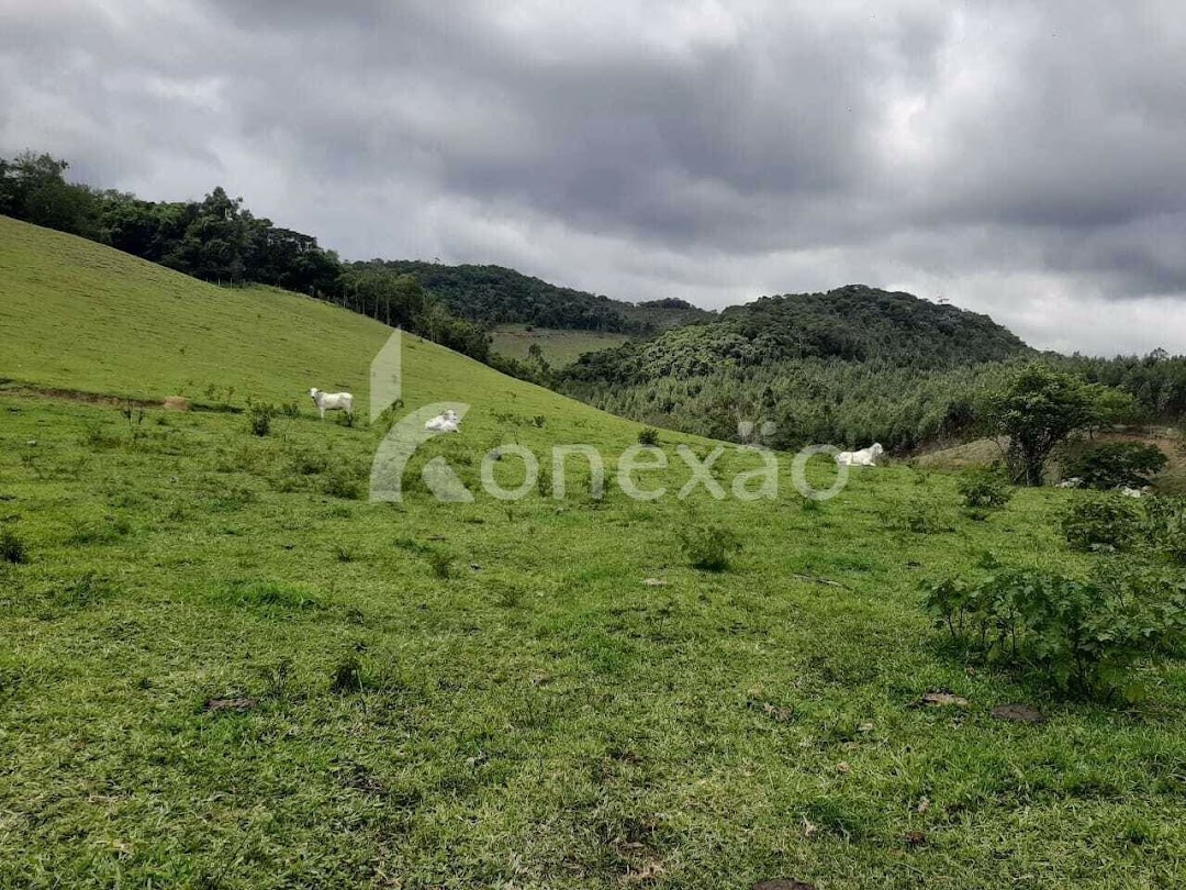 Fazenda em Paraibuna/São Paulo — Ref GBFVAA — Imagem 17