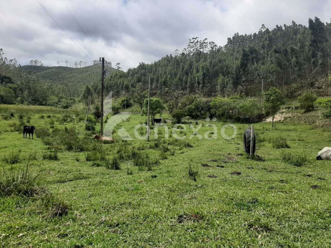 Fazenda em Paraibuna/São Paulo — Ref GBFVAA — Imagem 16