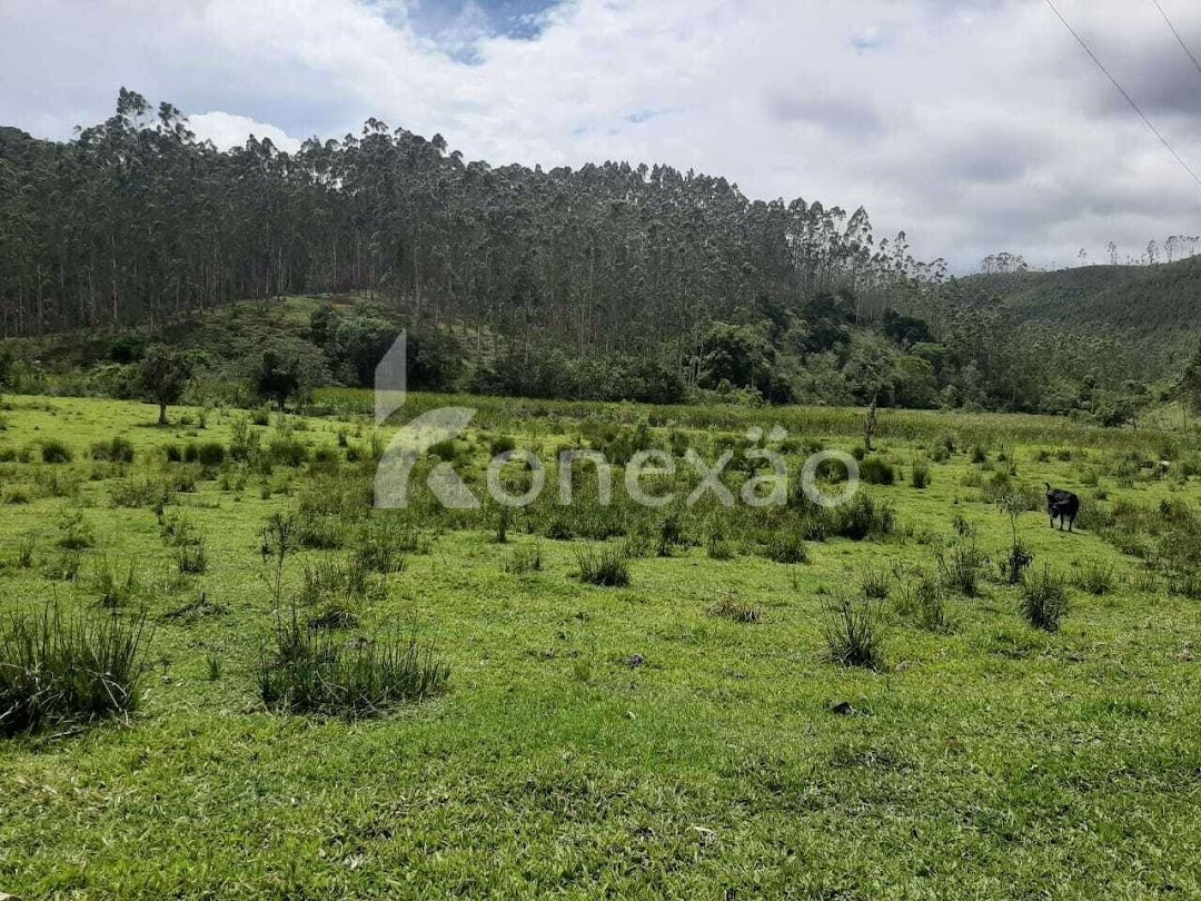 Fazenda em Paraibuna/São Paulo — Ref GBFVAA — Imagem 14