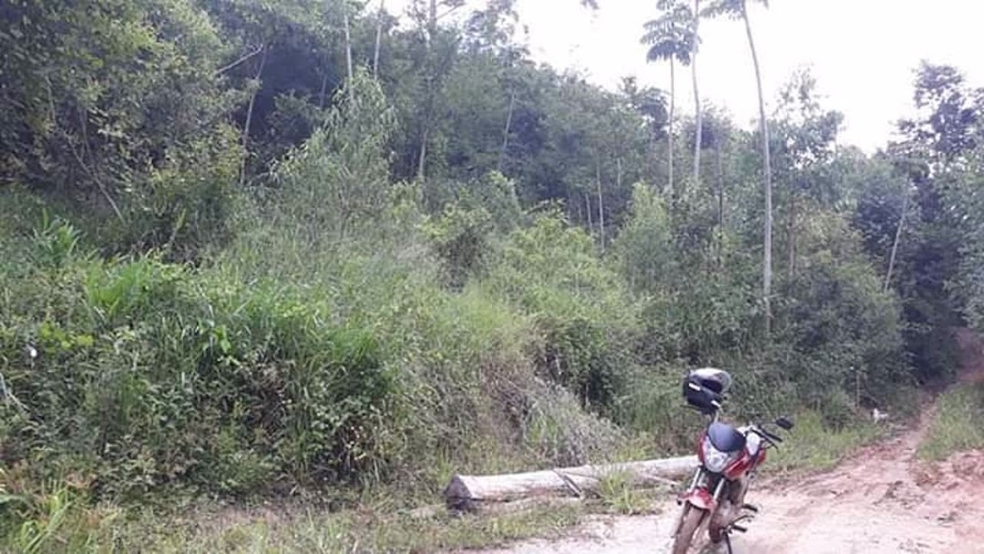 Sítio em Paraibuna/São Paulo — Ref 8MSJDA — Imagem 13