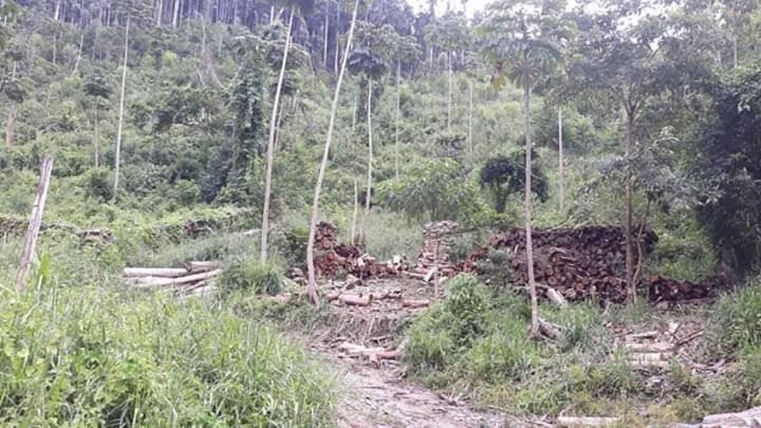 Sítio em Paraibuna/São Paulo — Ref 8MSJDA — Imagem 14