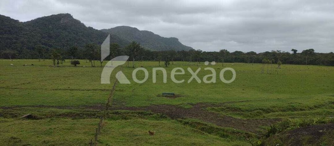 Fazenda em Miracatu/São Paulo — Ref TWH4QO — Imagem 13