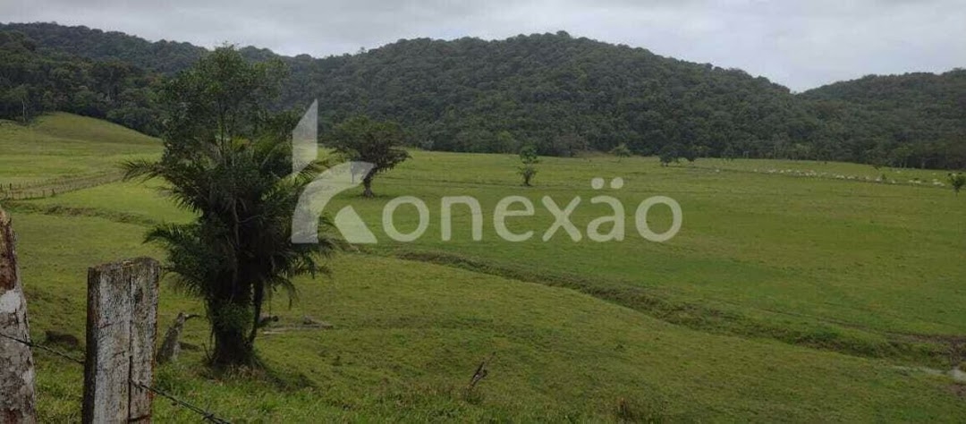 Fazenda em Miracatu/São Paulo — Ref TWH4QO — Imagem 21