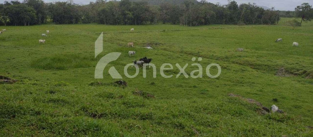 Fazenda em Miracatu/São Paulo — Ref TWH4QO — Imagem 16