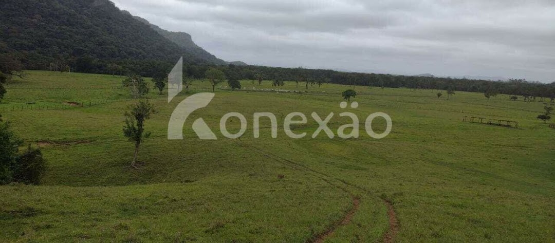 Fazenda em Miracatu/São Paulo — Ref TWH4QO — Imagem 18