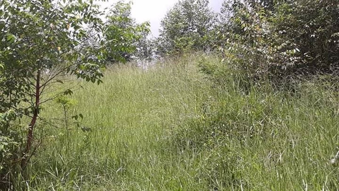 Sítio em Paraibuna/São Paulo — Ref 8MSJDA — Imagem 19