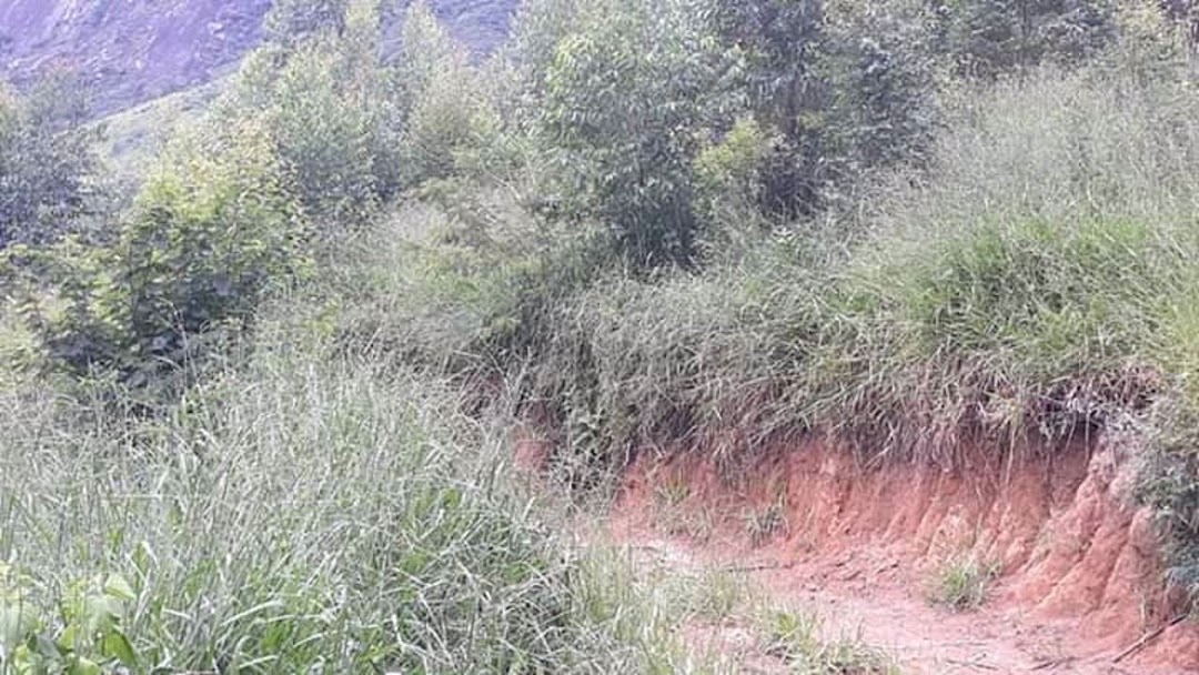 Sítio em Paraibuna/São Paulo — Ref 8MSJDA — Imagem 18