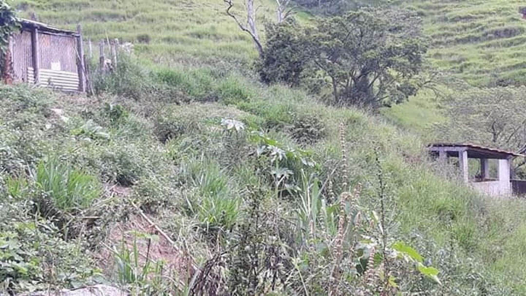 Sítio em Paraibuna/São Paulo — Ref 8MSJDA — Imagem 21