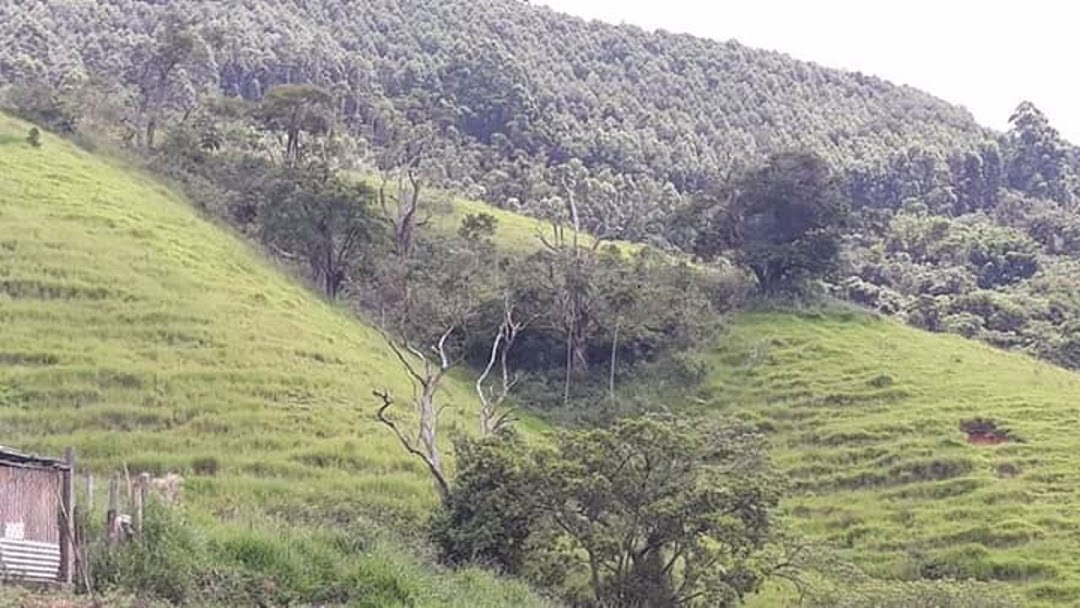 Sítio em Paraibuna/São Paulo — Ref 8MSJDA — Imagem 22