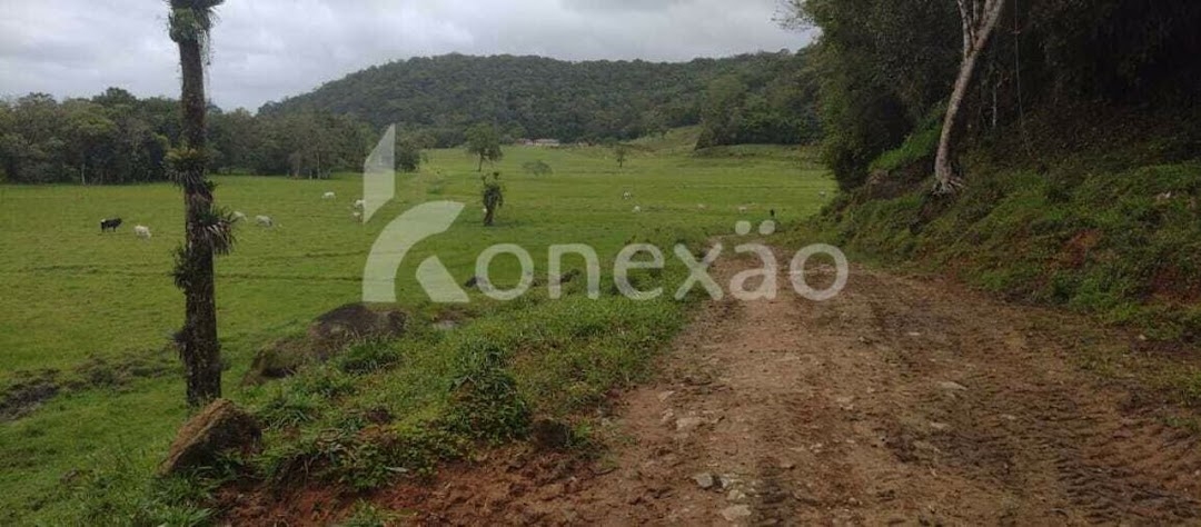 Fazenda em Miracatu/São Paulo — Ref TWH4QO — Imagem 19