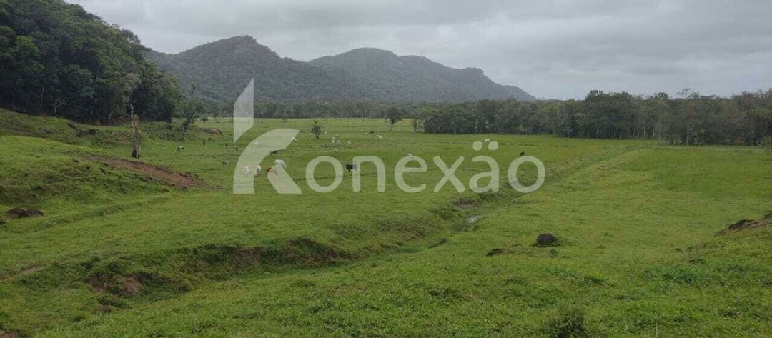 Fazenda em Miracatu/São Paulo — Ref TWH4QO — Imagem 14