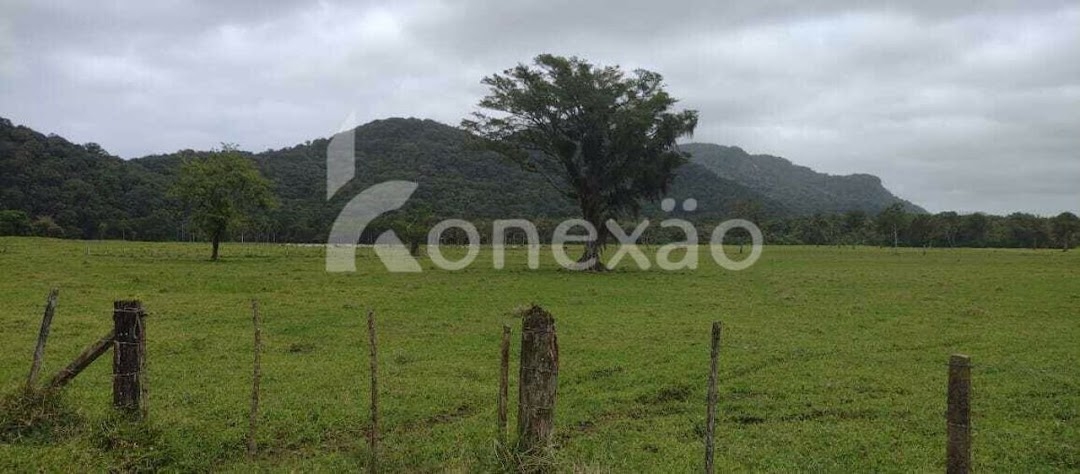 Fazenda em Miracatu/São Paulo — Ref TWH4QO — Imagem 20