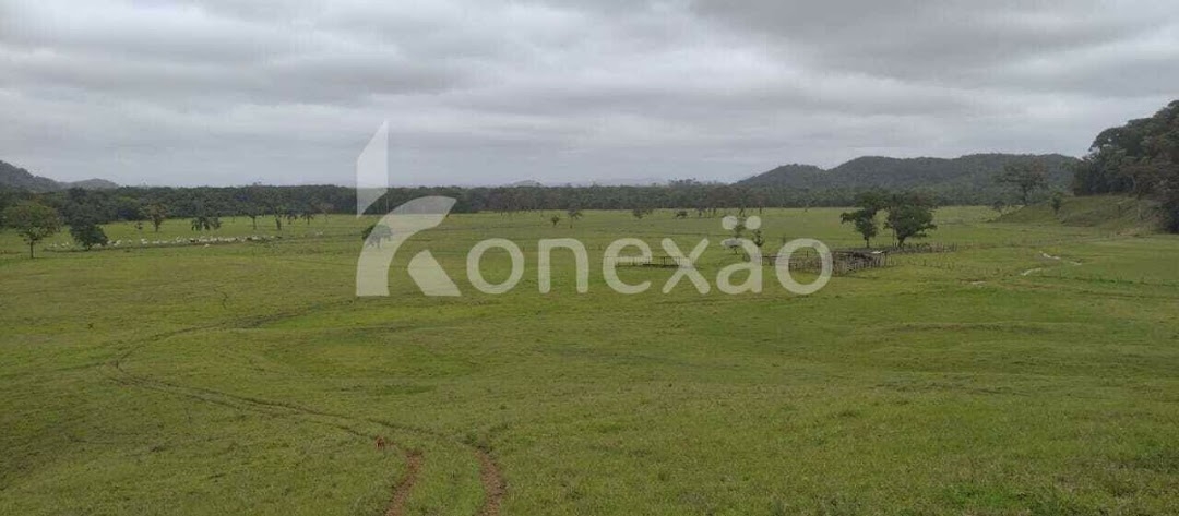 Fazenda em Miracatu/São Paulo — Ref TWH4QO — Imagem 17