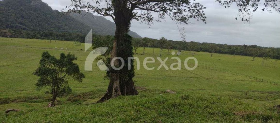 Fazenda em Miracatu/São Paulo — Ref TWH4QO — Imagem 34