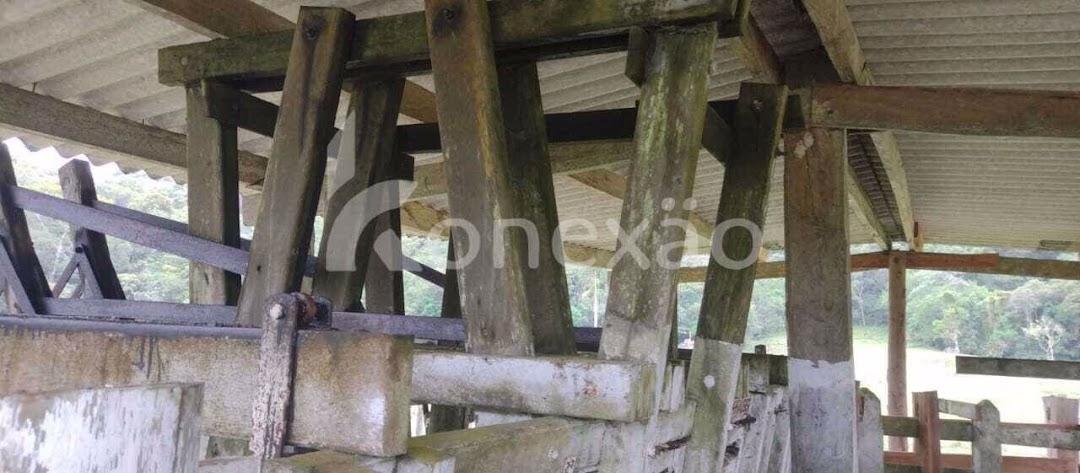 Fazenda em Miracatu/São Paulo — Ref TWH4QO — Imagem 28