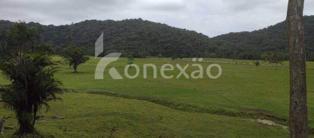 Fazenda em Miracatu/São Paulo — Ref TWH4QO — Imagem 27