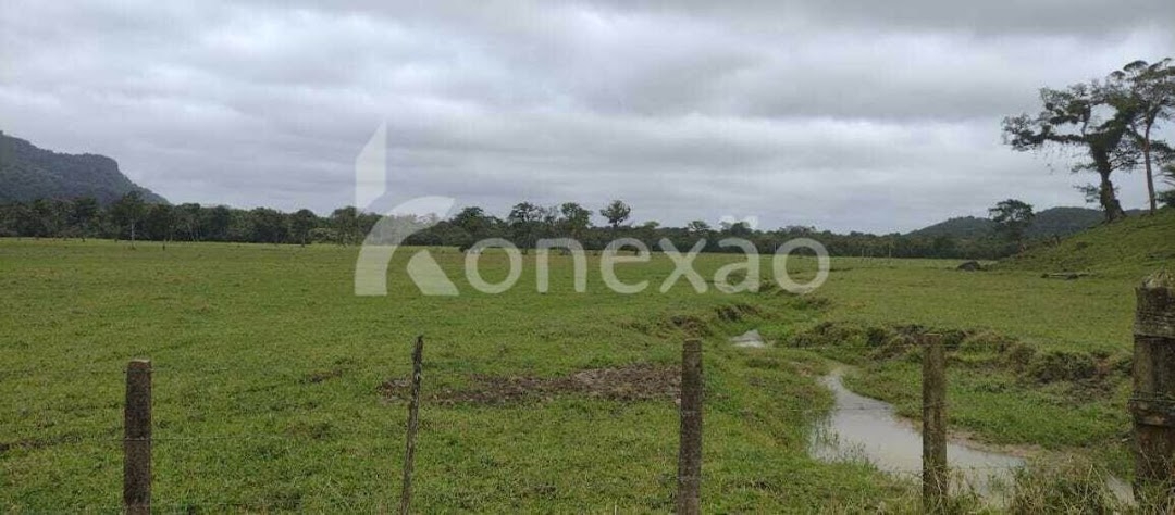 Fazenda em Miracatu/São Paulo — Ref TWH4QO — Imagem 29
