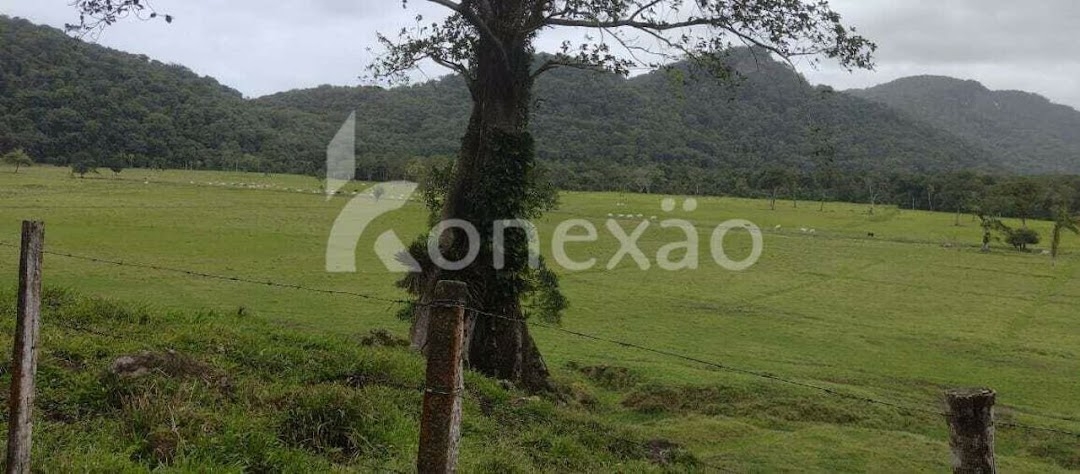 Fazenda em Miracatu/São Paulo — Ref TWH4QO — Imagem 30