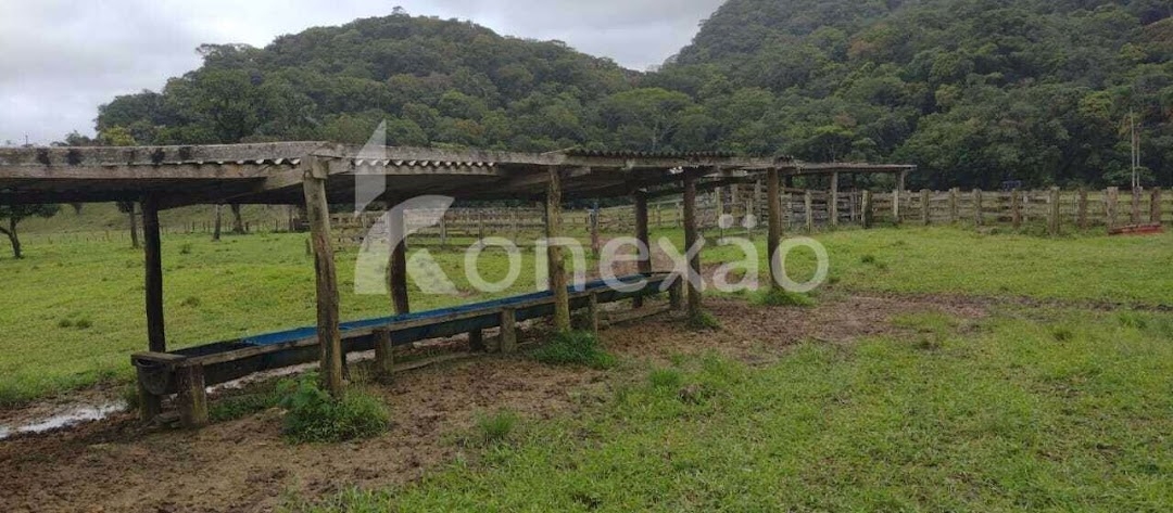 Fazenda em Miracatu/São Paulo — Ref TWH4QO — Imagem 33