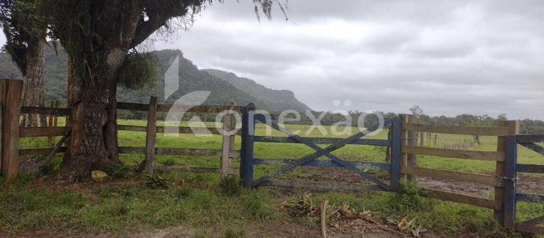 Fazenda em Miracatu/São Paulo — Ref TWH4QO — Imagem 12