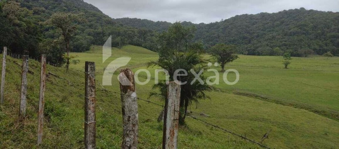 Fazenda em Miracatu/São Paulo — Ref TWH4QO — Imagem 23
