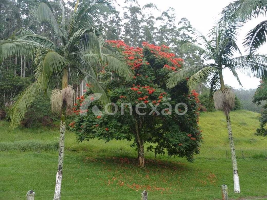 Fazenda em São José dos Campos/São Paulo — Ref NUDVL2 — Imagem 9