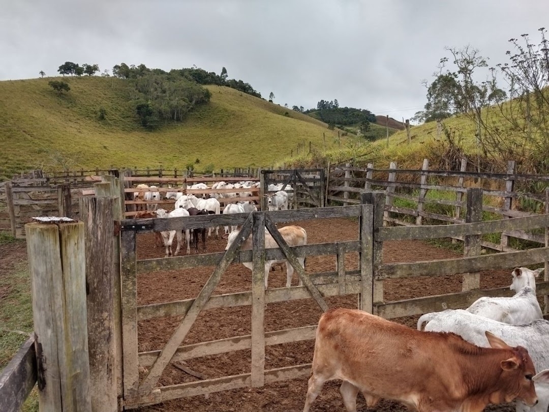 Fazenda-Sítio-Chácara, 46 hectares - Foto 10