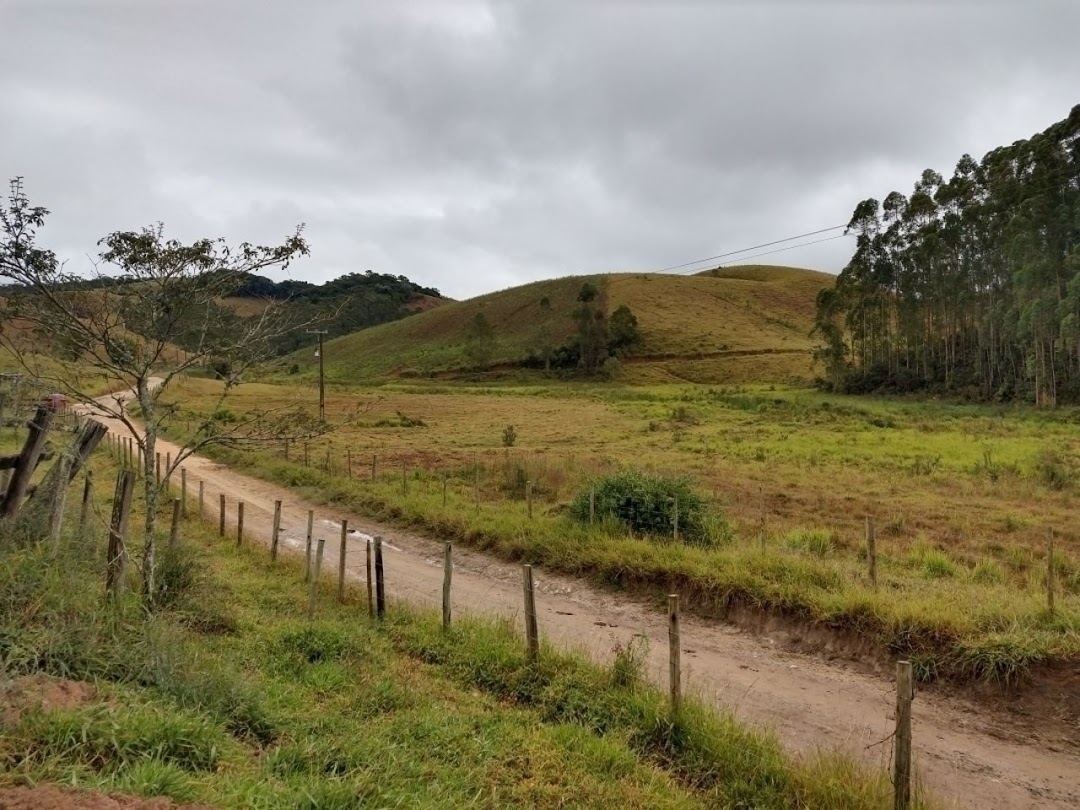 Fazenda-Sítio-Chácara, 46 hectares - Foto 7