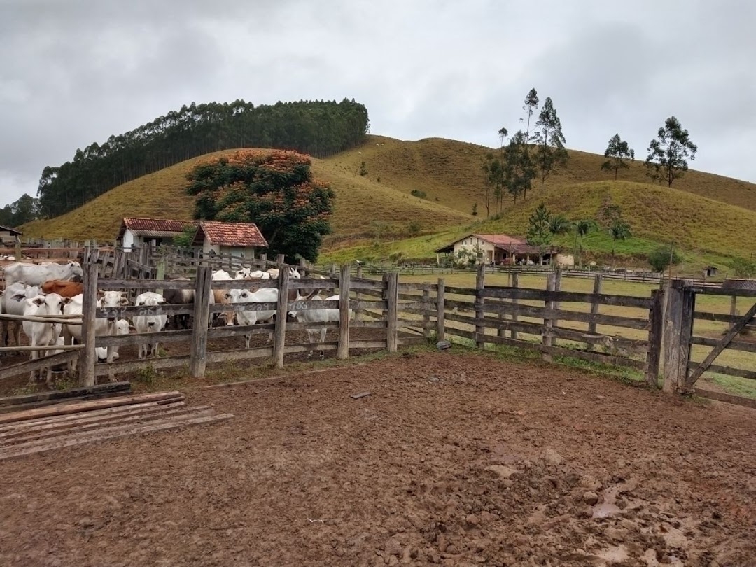Fazenda-Sítio-Chácara, 46 hectares - Foto 6