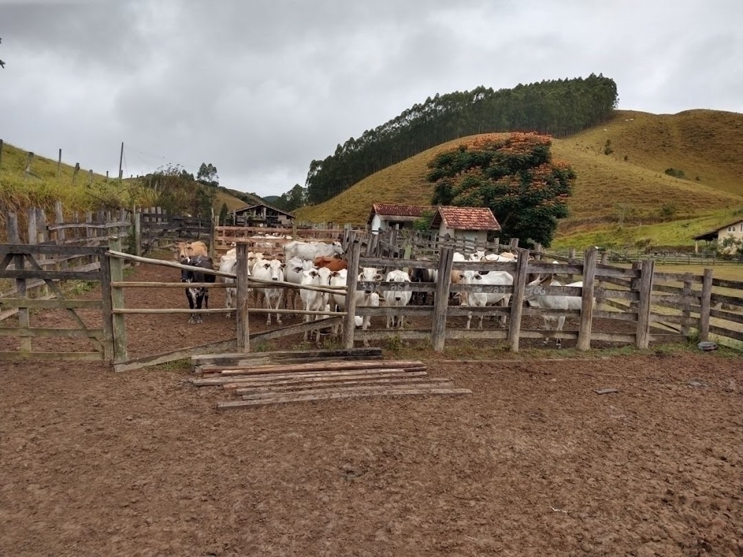 Fazenda-Sítio-Chácara, 46 hectares - Foto 5